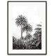 Pines tree 3 30 x 40 framed poster