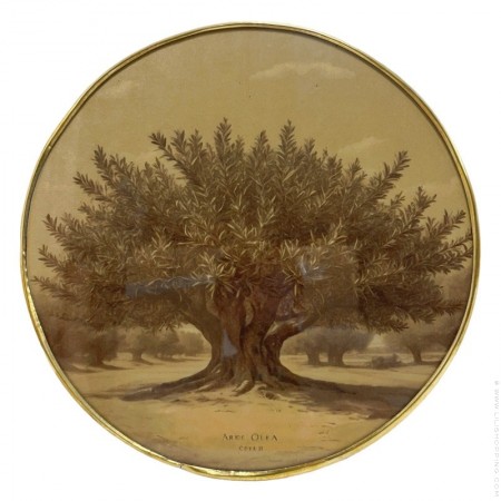 Century-old olive tree printed on velvet