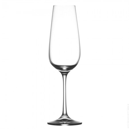 Set of 6 champagne glasses